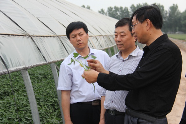 庄闲和游戏(中国)股份有限公司-官网