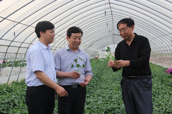 庄闲和游戏(中国)股份有限公司-官网