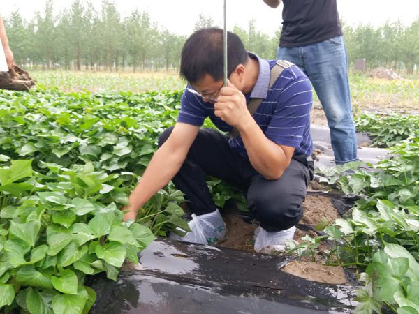 ׯ�к���Ϸ(�й�)�ɷ����޹�˾-����