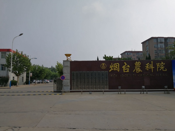 ׯ�к���Ϸ(�й�)�ɷ����޹�˾-����