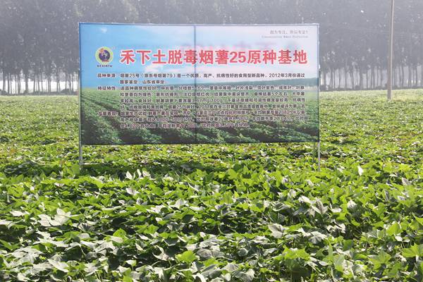 ׯ�к���Ϸ(�й�)�ɷ����޹�˾-����