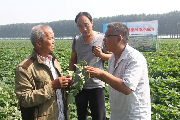 ׯ�к���Ϸ(�й�)�ɷ����޹�˾-����