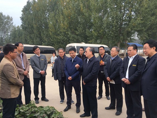 ׯ�к���Ϸ(�й�)�ɷ����޹�˾-����