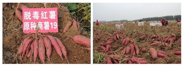 ׯ�к���Ϸ(�й�)�ɷ����޹�˾-����