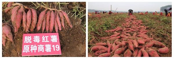 ׯ�к���Ϸ(�й�)�ɷ����޹�˾-����