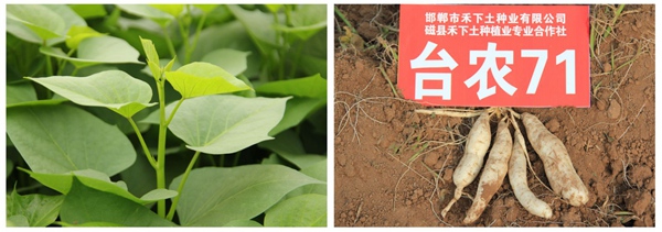 ׯ�к���Ϸ(�й�)�ɷ����޹�˾-����