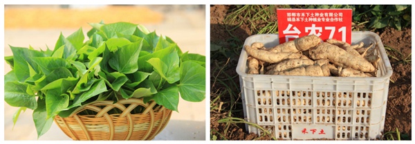 ׯ�к���Ϸ(�й�)�ɷ����޹�˾-����