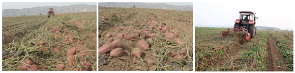 ׯ�к���Ϸ(�й�)�ɷ����޹�˾-����