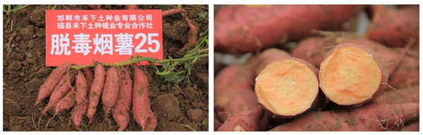 ÑÌÊí25 ׯÏкÍÓÎÏ·(Öйú)¹É·ÝÓÐÏÞ¹«Ë¾-¹ÙÍø