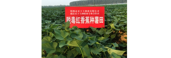 庄闲和游戏(中国)股份有限公司-官网