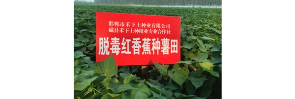 庄闲和游戏(中国)股份有限公司-官网