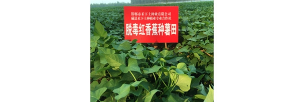 庄闲和游戏(中国)股份有限公司-官网