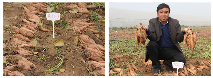 庄闲和游戏(中国)股份有限公司-官网