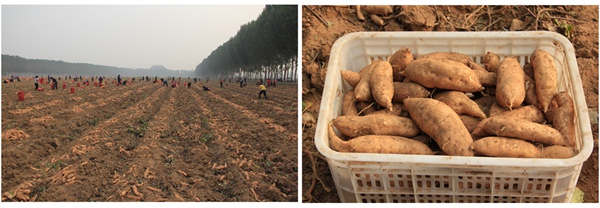 ׯ�к���Ϸ(�й�)�ɷ����޹�˾-����