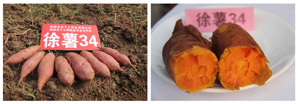 ׯ�к���Ϸ(�й�)�ɷ����޹�˾-����