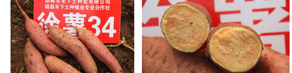 ׯ�к���Ϸ(�й�)�ɷ����޹�˾-����