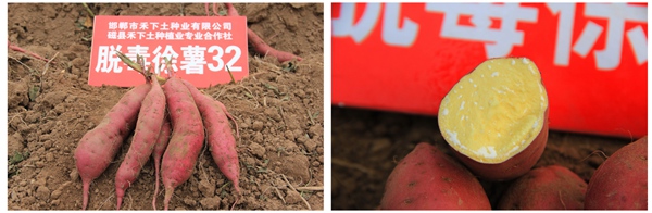 ׯ�к���Ϸ(�й�)�ɷ����޹�˾-����