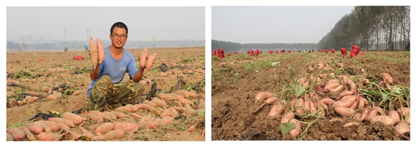 ׯ�к���Ϸ(�й�)�ɷ����޹�˾-����