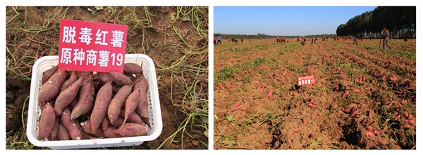 ׯ�к���Ϸ(�й�)�ɷ����޹�˾-����