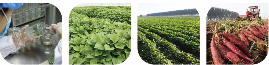 1648452926973798.jpg 捕获.JPG