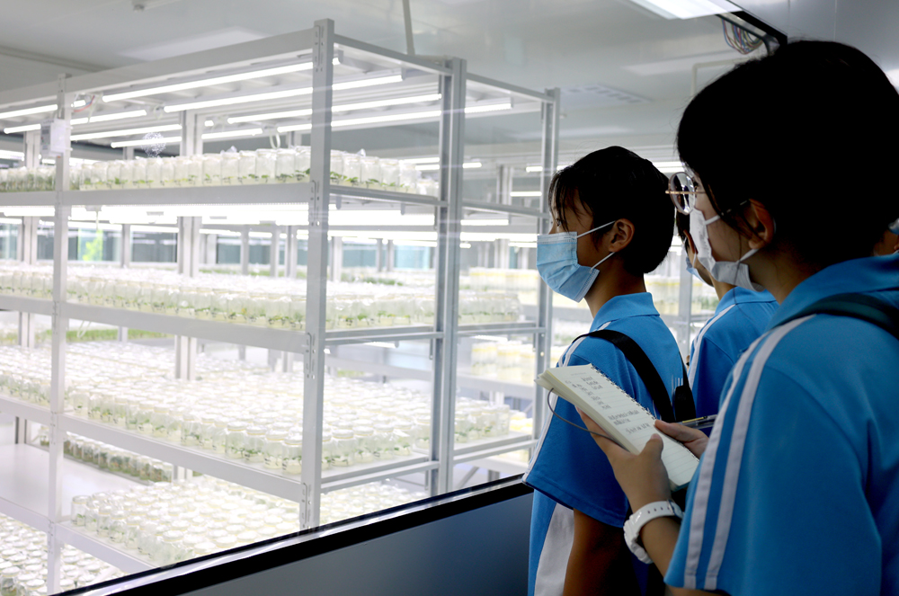 1663577823128151.jpg 2.jpg