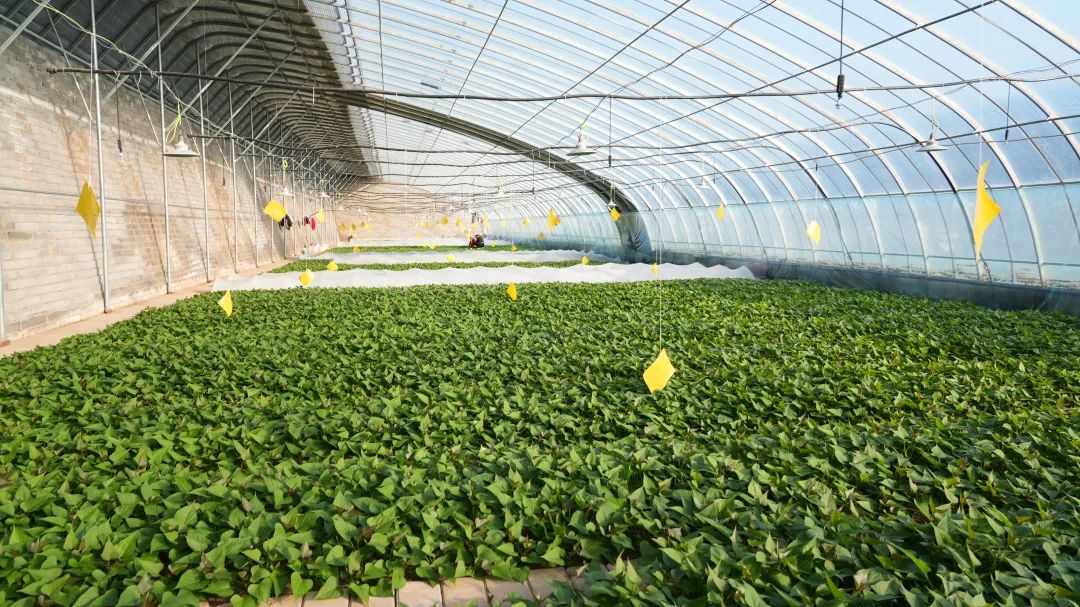 1704788727864735.jpg 640 (1).jpg