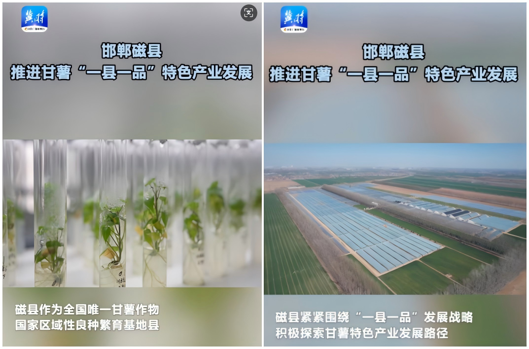 1742614765184660.png WPS拼图0.png