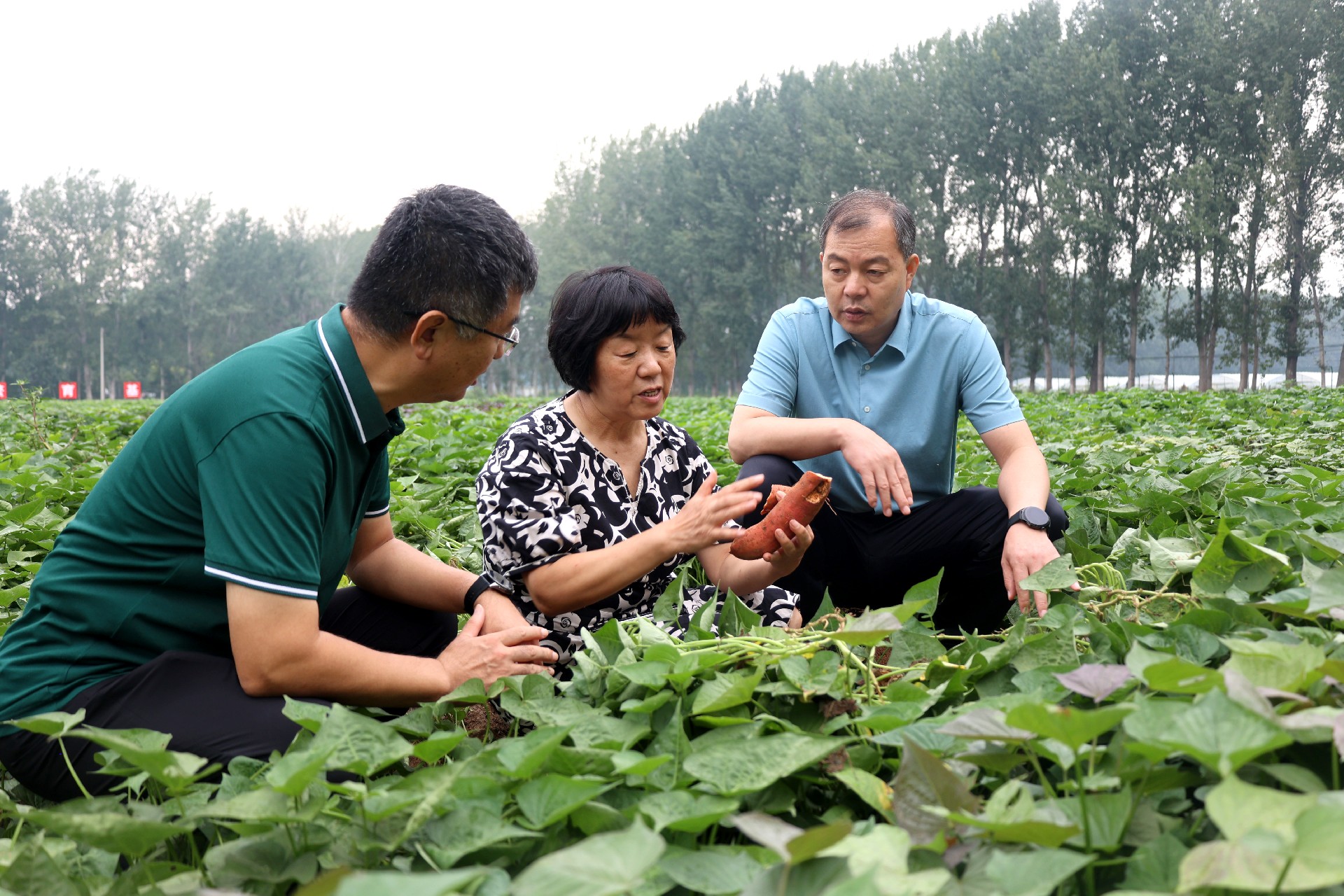 1757584973391878.jpg 微信图片_20250911164156_33_53.jpg