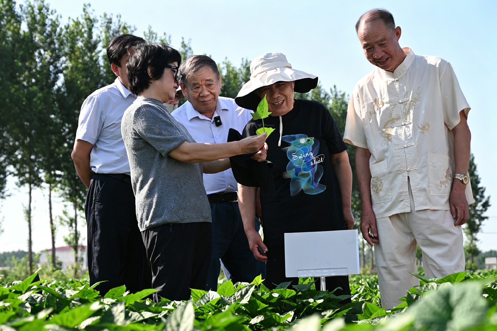 1782865414212948.jpg 微信图片_20260629091641_431_53.jpg