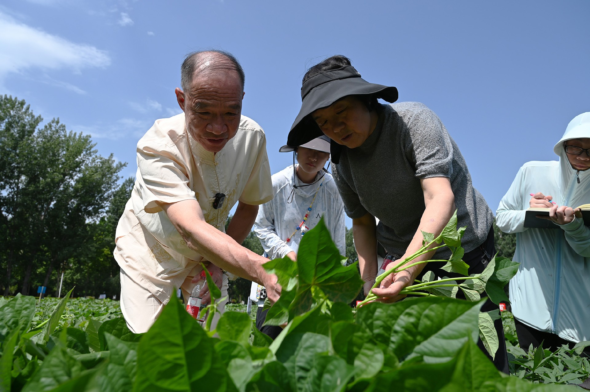 1782866455939416.jpg 微信图片_20260629091646_437_53.jpg